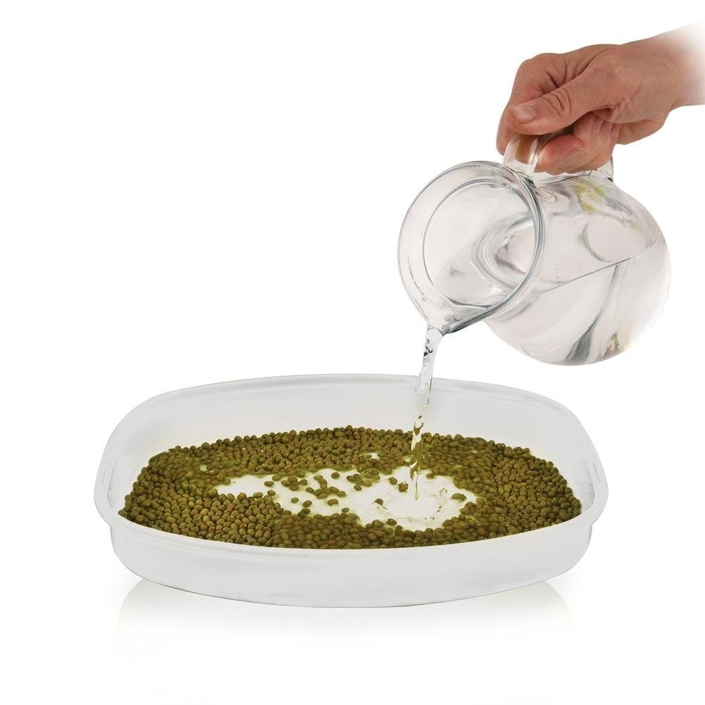 Sprout container with strainer and lid in high-quality plastic
