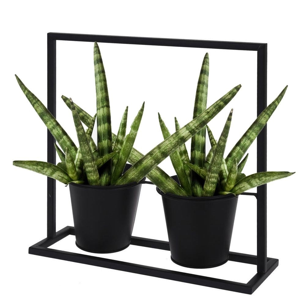 Stable and elegant flower stand for two pots in black metal