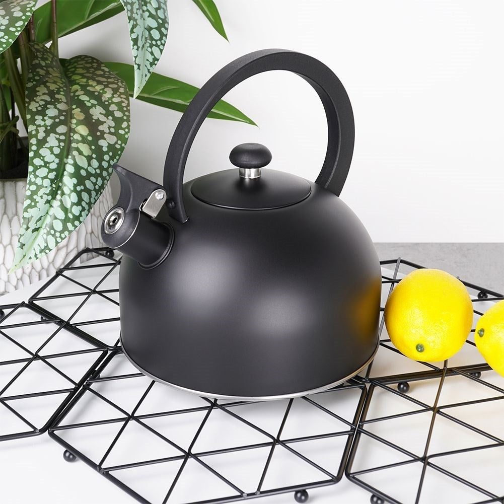 Stainless Steel Kettle with Folding Whistle