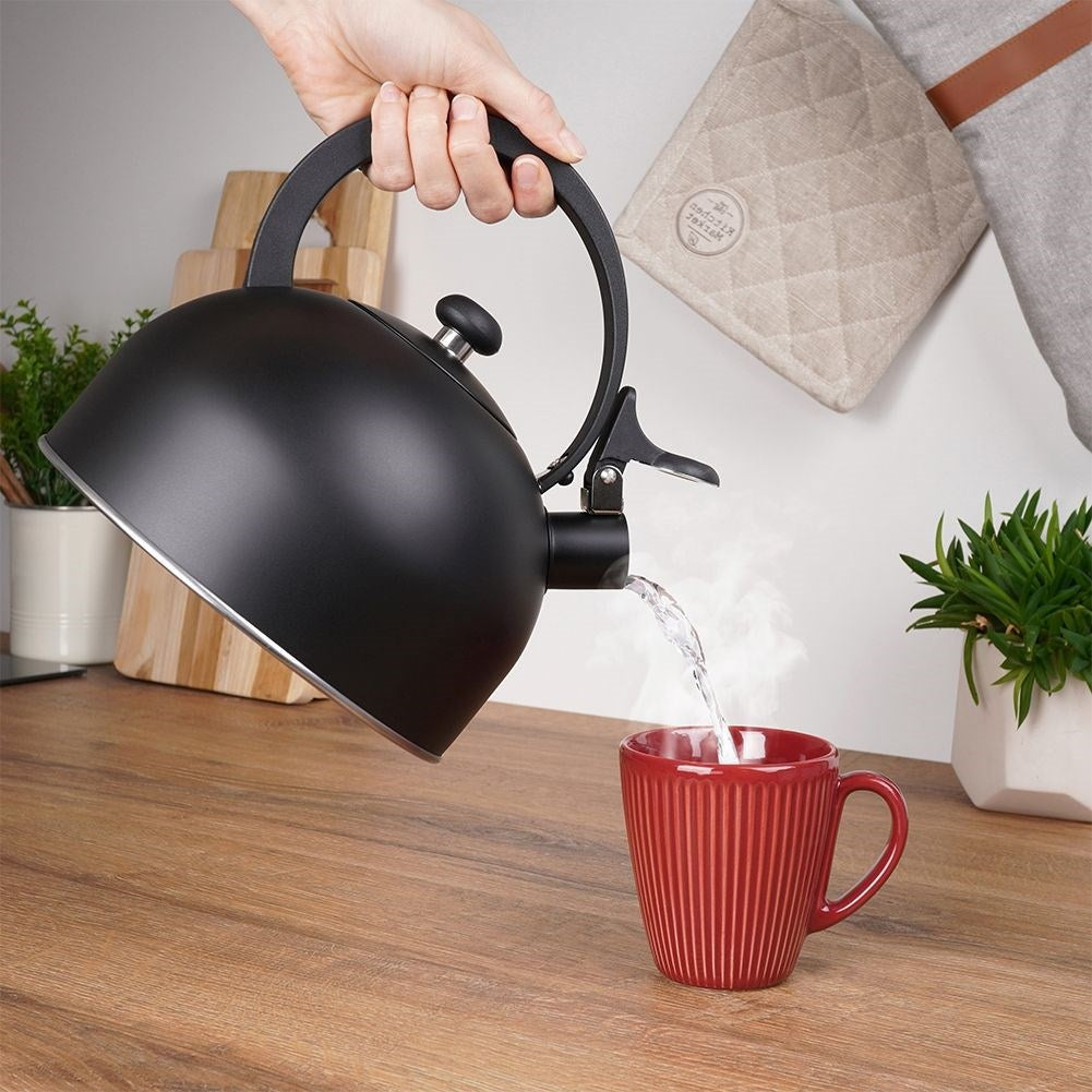 Stainless Steel Kettle with Folding Whistle