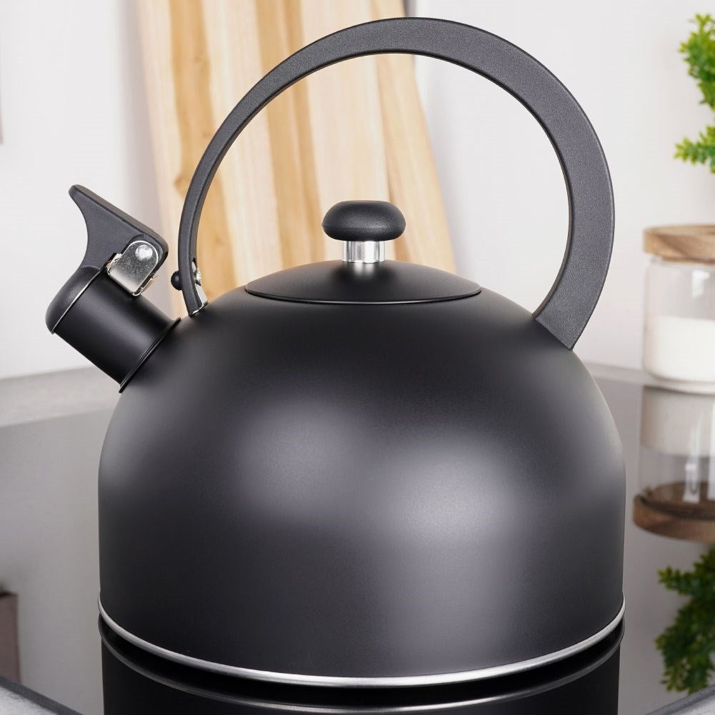 Stainless Steel Kettle with Folding Whistle