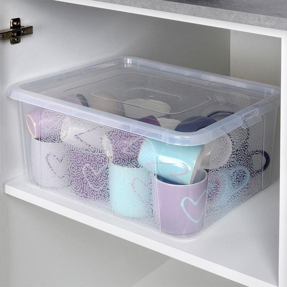 Storage box with lid, durable and transparent plastic
