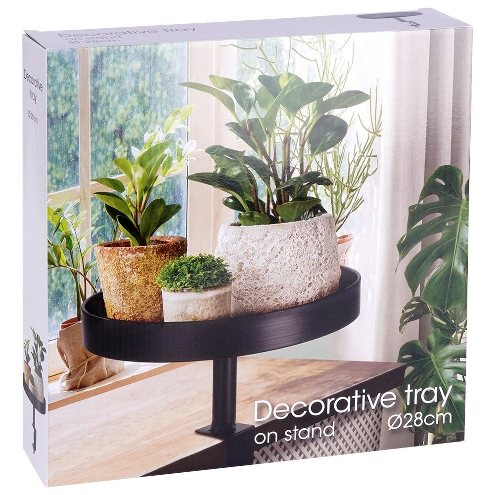 Stylish Flower Holder for Windowsill, Table, Countertop