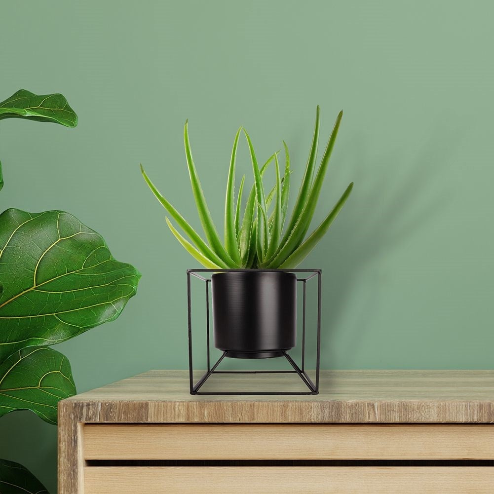 Stylish black metal pot for live and artificial plants