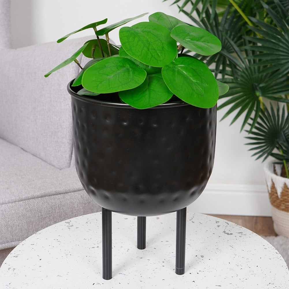 Stylish black metal pot on three legs for plants.