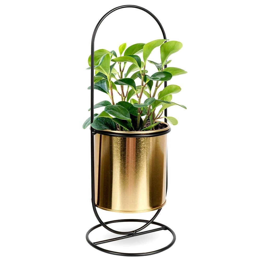 Stylish flowerpot with stand in black and gold