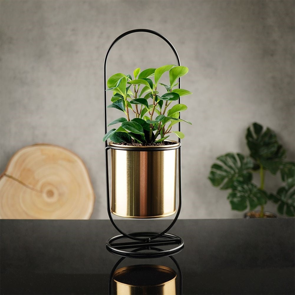 Stylish flowerpot with stand in black and gold