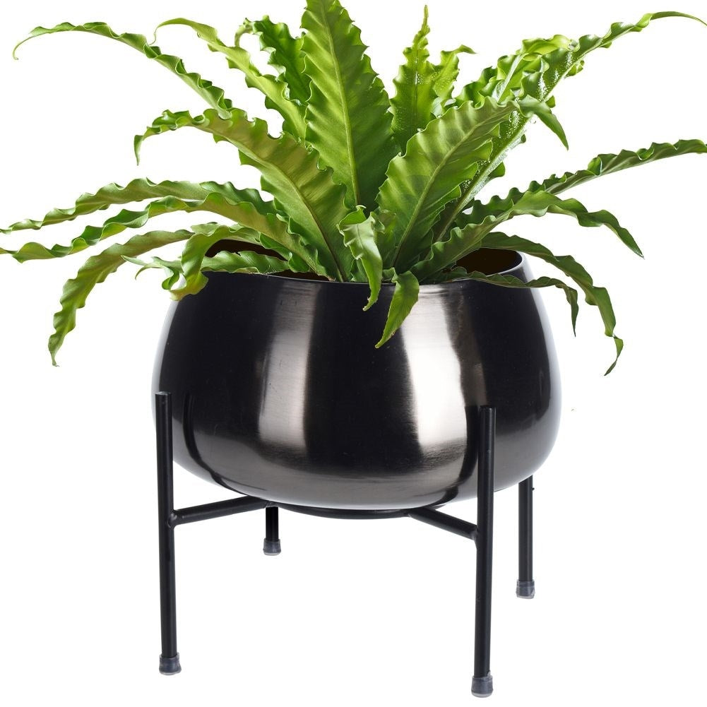 Stylish graphite colored metal pot on legs for plants