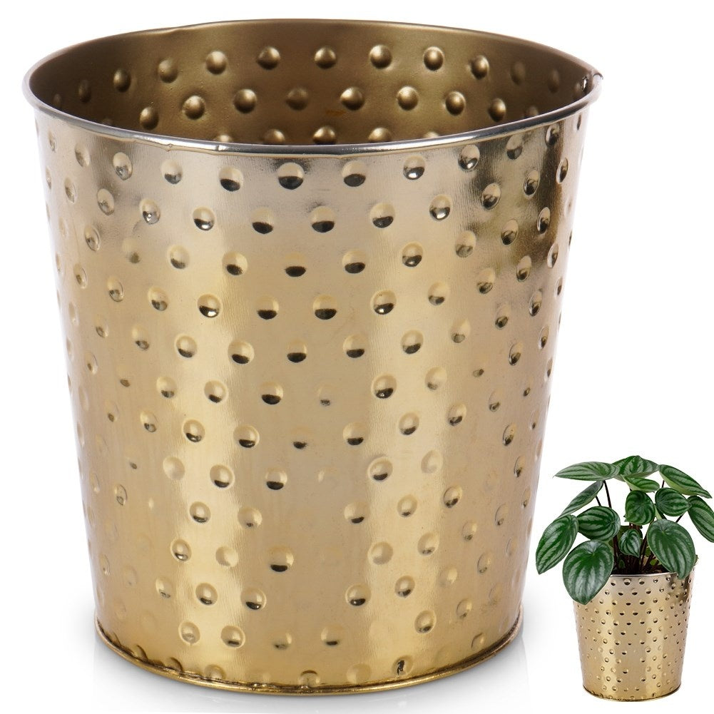 Stylish metal pot in gold for plants