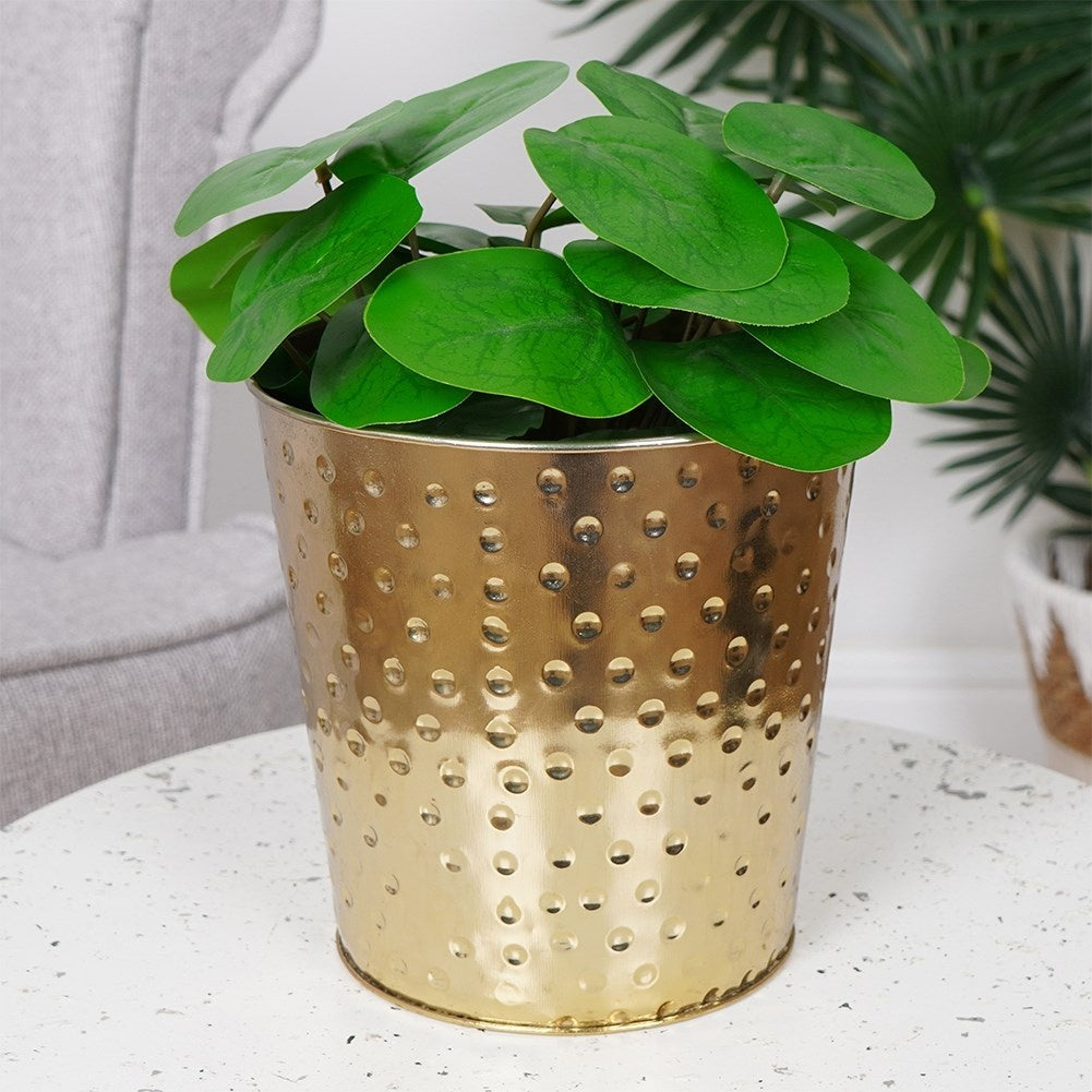 Stylish metal pot in gold for plants