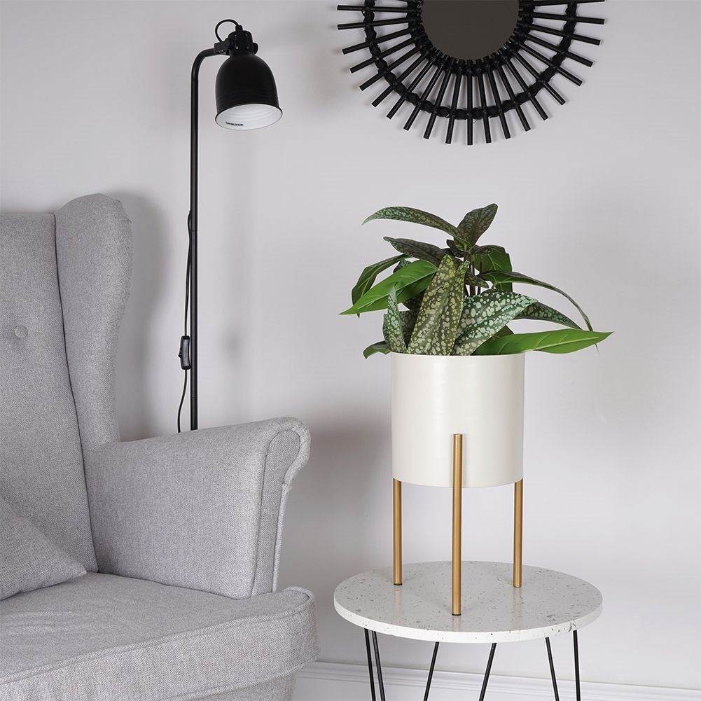 Stylish metal pot on stand in cream white and gold