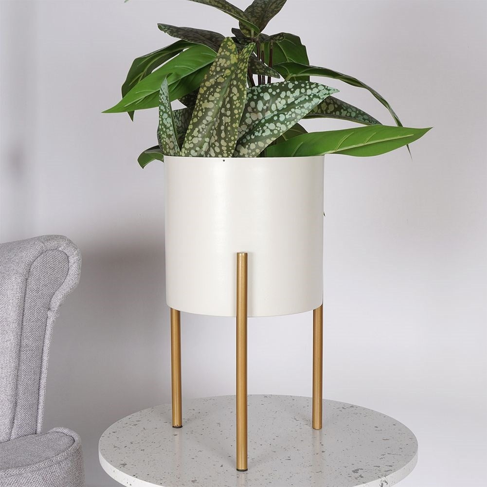 Stylish metal pot on stand in cream white and gold