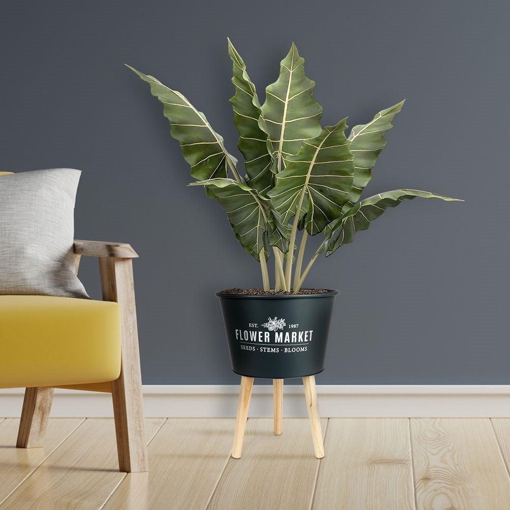 Stylish zinc pot on three legs in graphite color with text