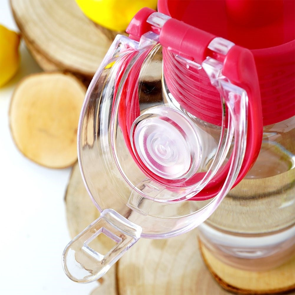 Tasty water bottle with fruit insert