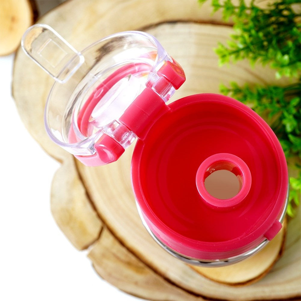 Tasty water bottle with fruit insert