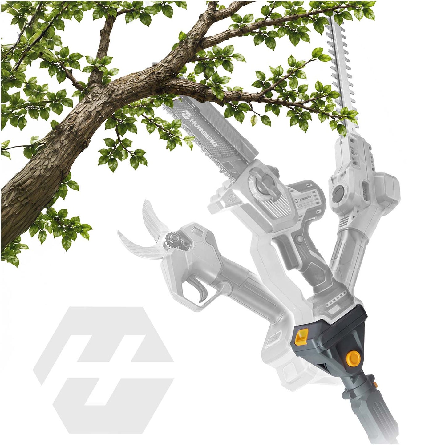Telescopic Pole Saw Extension, Adjustable 160-250 cm