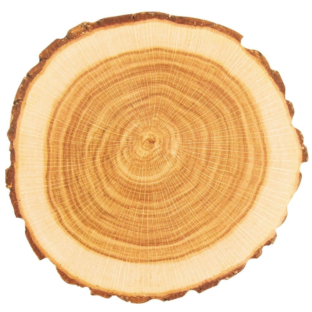 Ten coasters in wooden design - protect the table stylishly