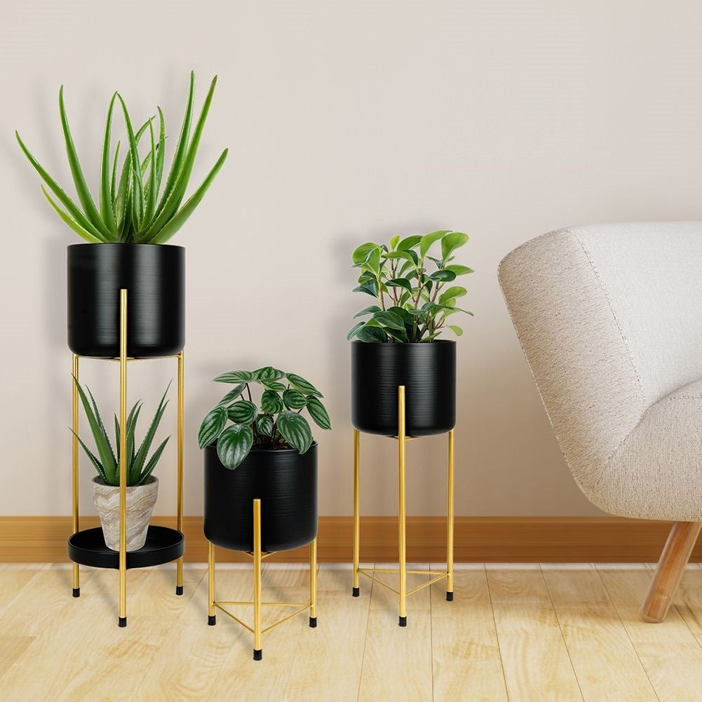 Three black flower pots on gold stand for elegant plant display