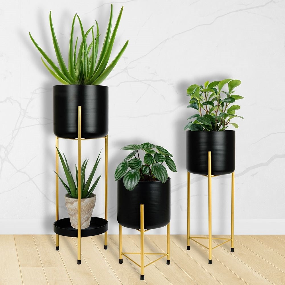 Three black flower pots on gold stand for elegant plant display