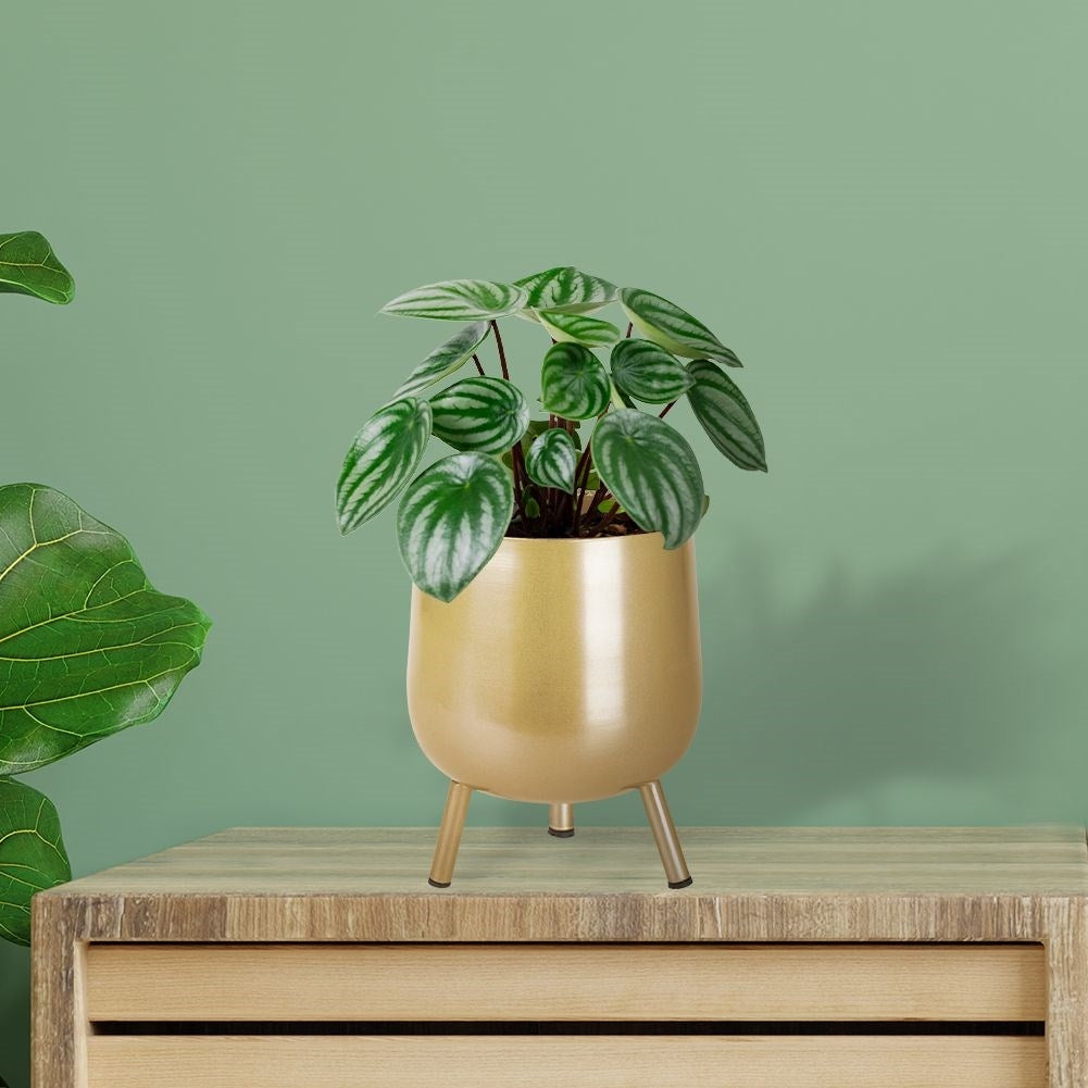 Three-legged pot in golden metal with non-slip coating