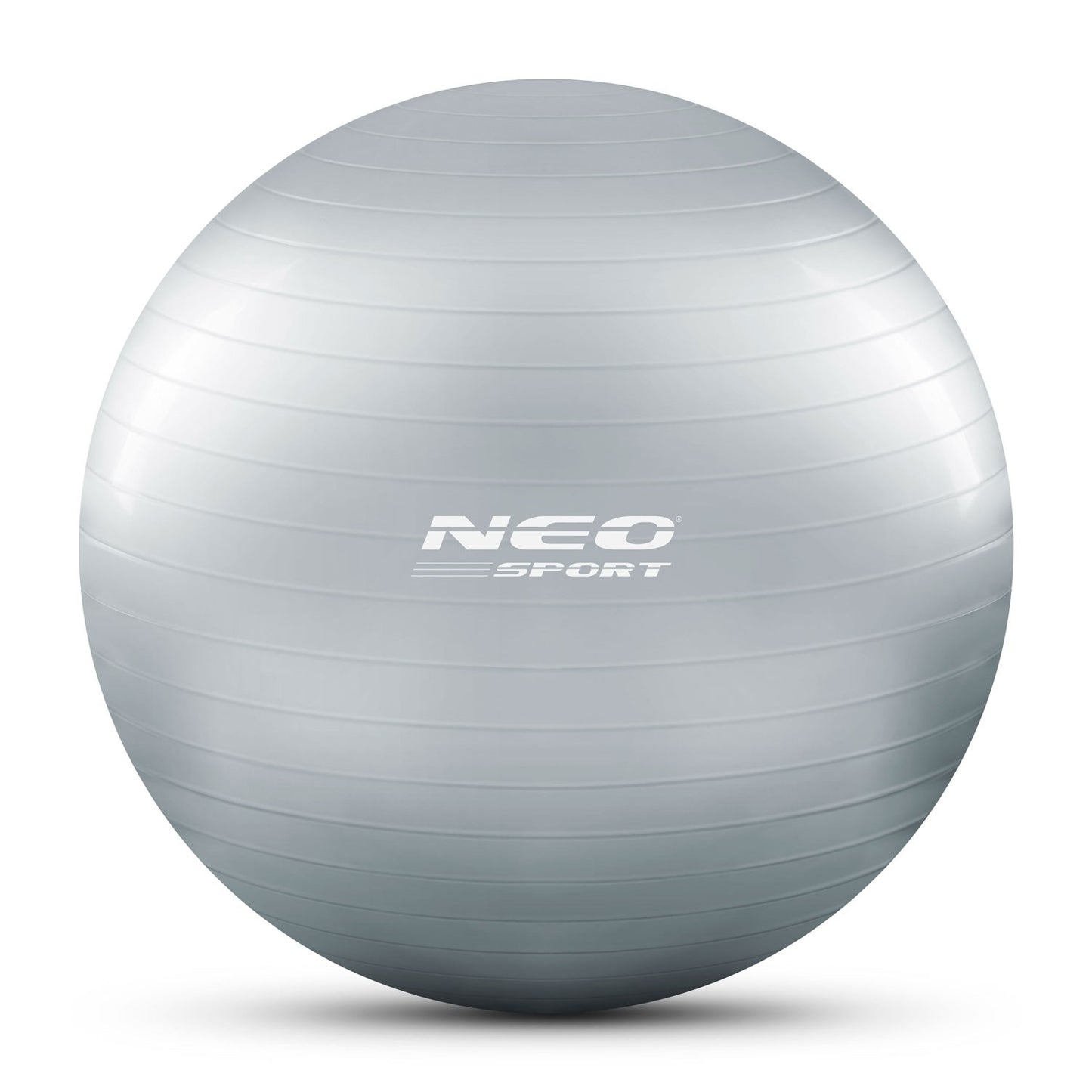 Training ball 65 cm NS-951 Silver