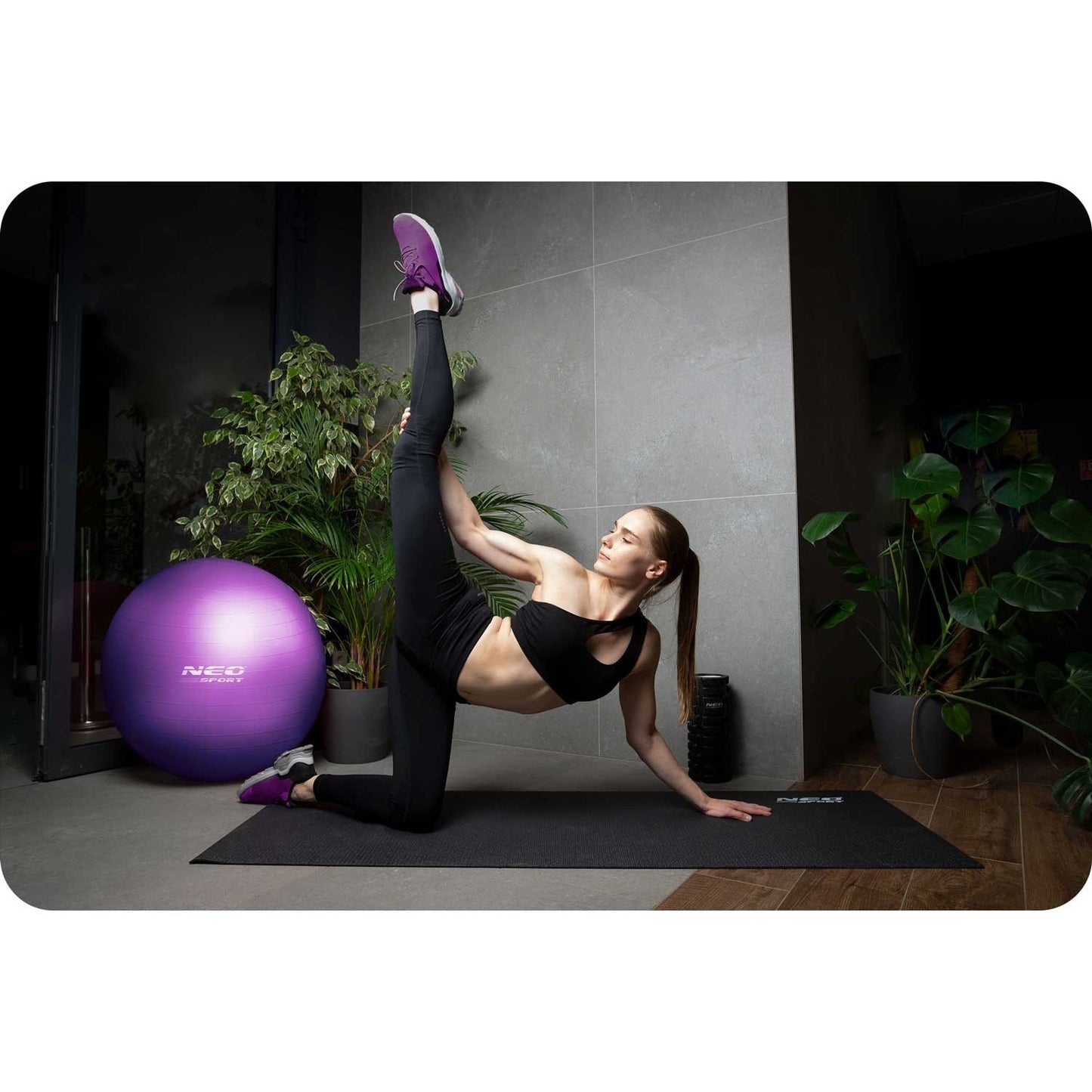 Training ball 65 cm NS-951 purple