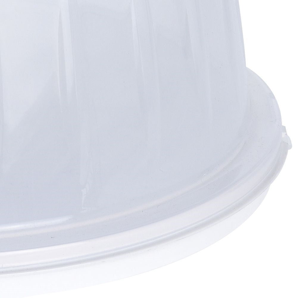 Transport container for cookies and cakes with lid and handle