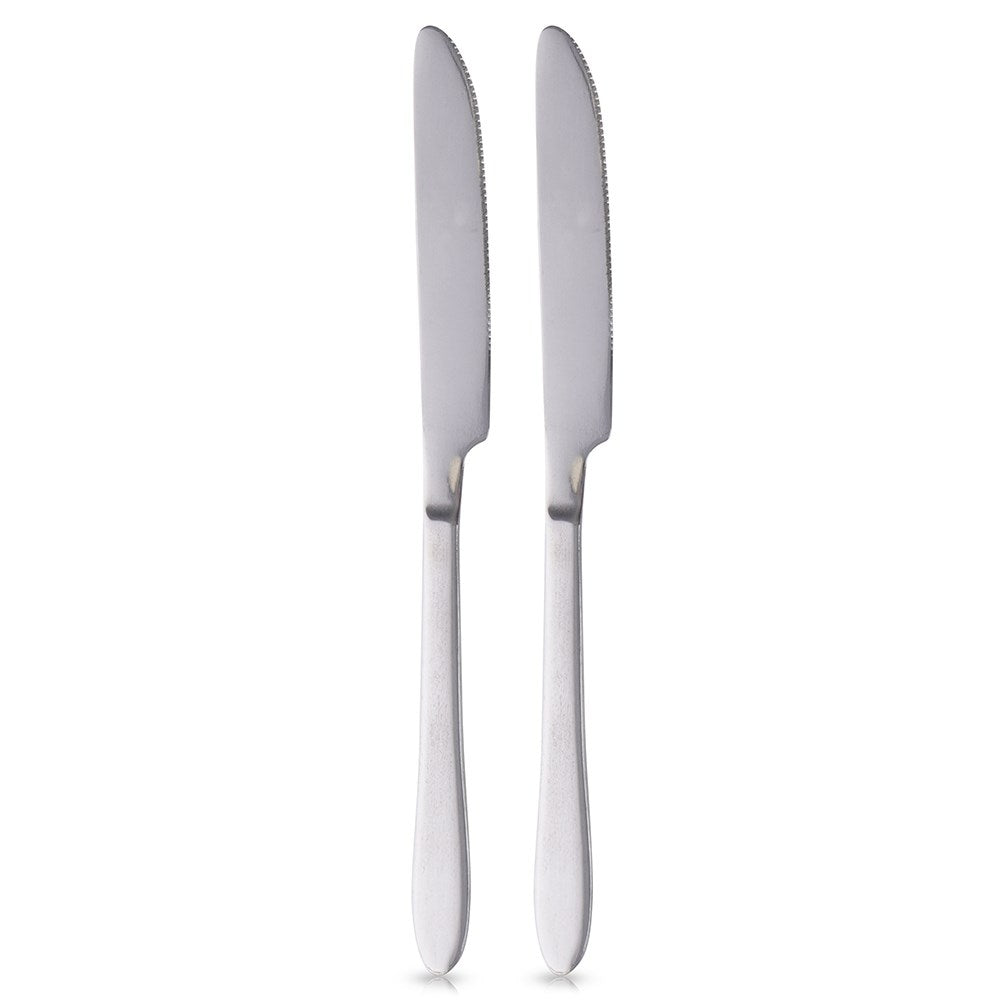 Two stainless dinner knives 24 cm, dishwasher safe