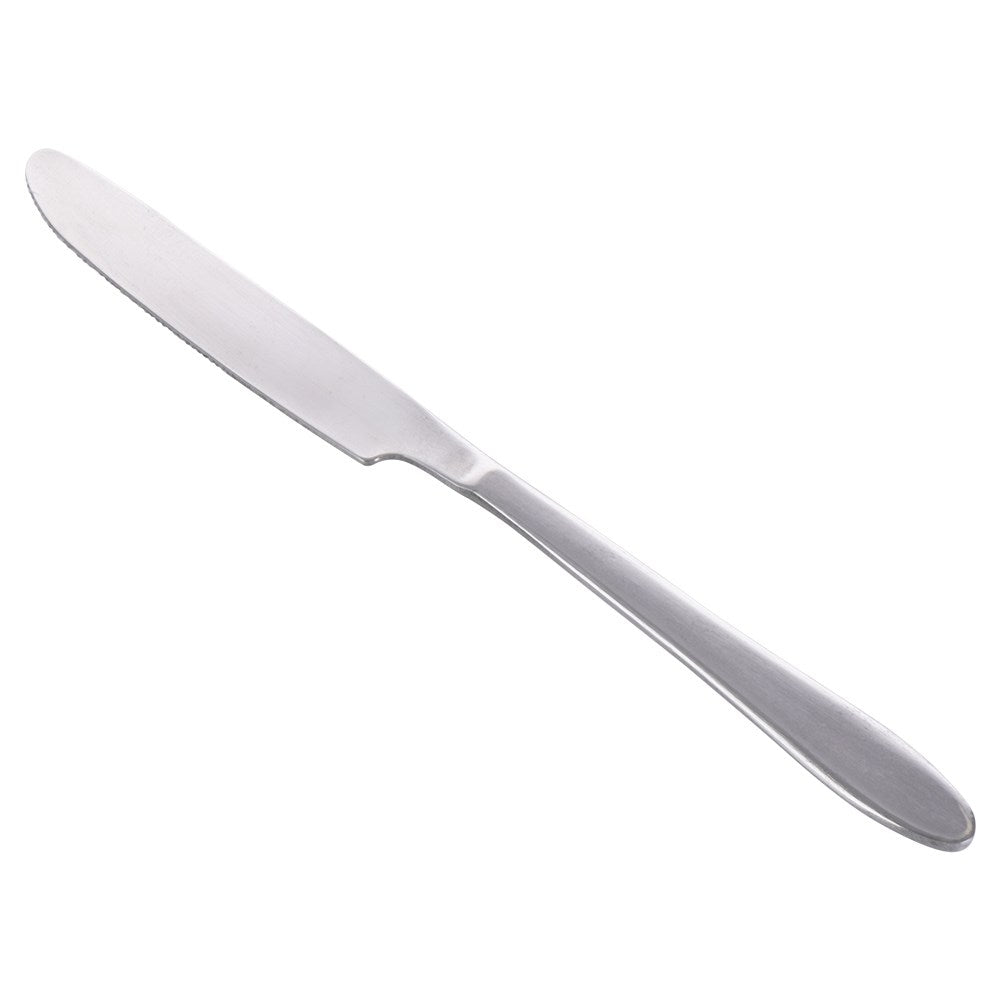 Two stainless dinner knives 24 cm, dishwasher safe