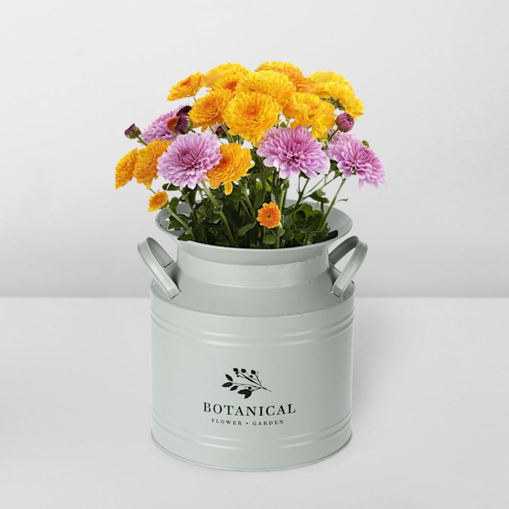Unique Metal Jug: Decorative Pot/Vase for Garden & Balcony
