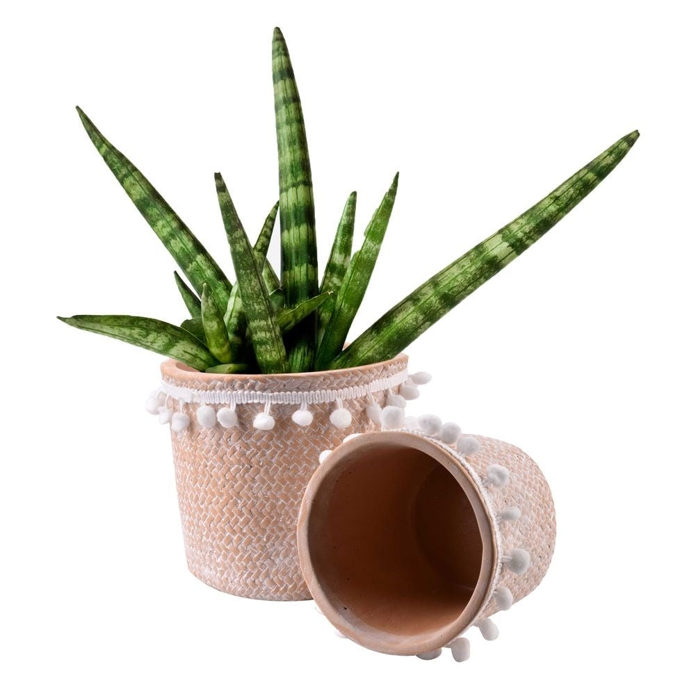 Unique flower/herb pot for home, terrace & balcony.