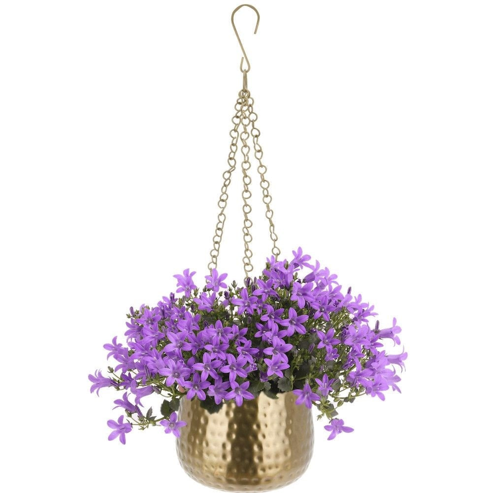 Unique hanging flower pot in gold tone, perfect for plants