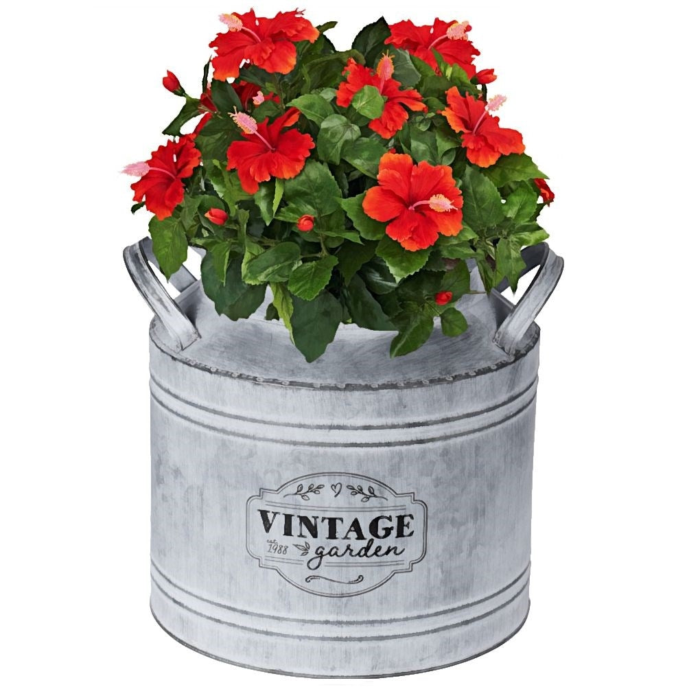 Unique metal jug: Decorative flower pot or vase for the garden