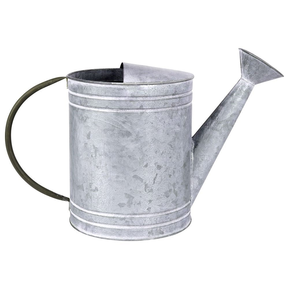 Unique metal watering can for garden decoration and flower arrangements