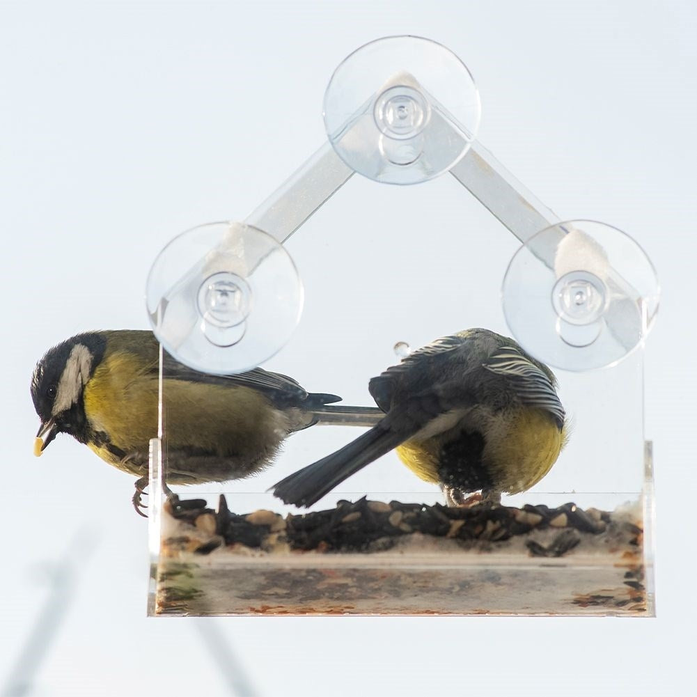 Unique set: Transparent bird feeders for window viewing
