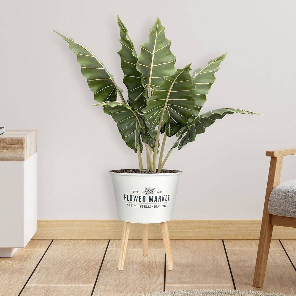 Unique three-legged pot in light gray zinc for plants