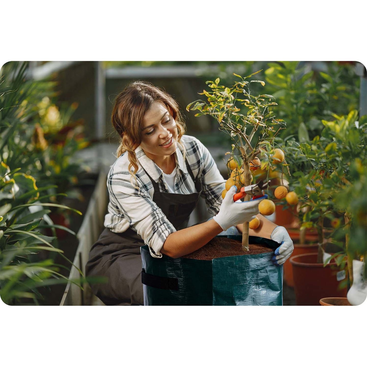 Vegetable growing bag 43 l Plonos PL-964
