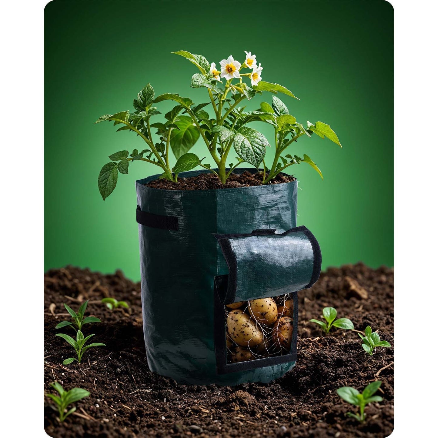 Vegetable growing bag 43 l Plonos PL-964