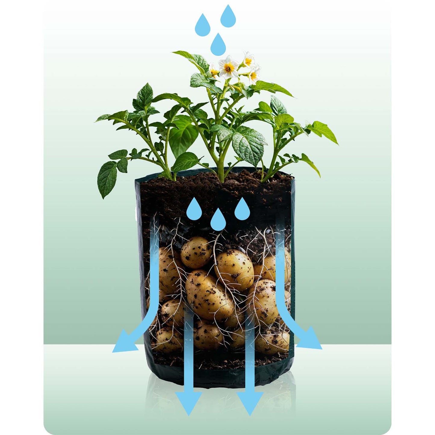 Vegetable growing bag 43 l Plonos PL-964