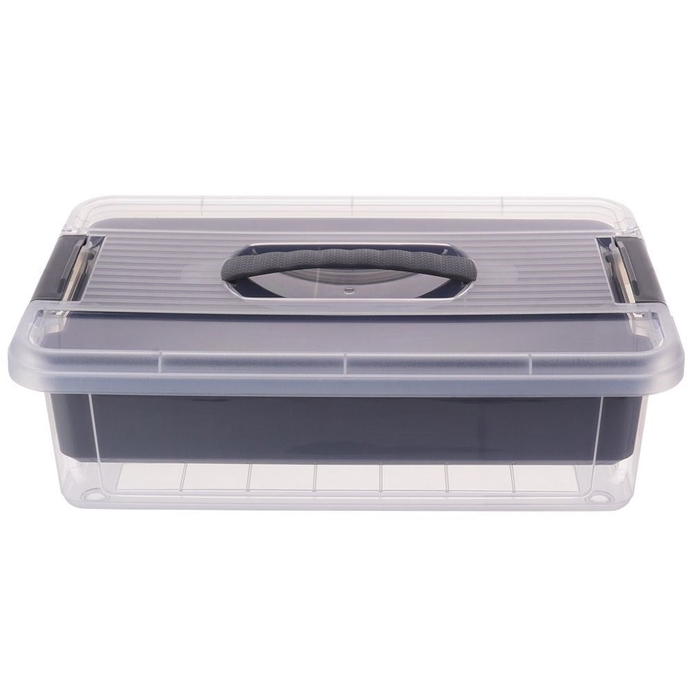 Versatile storage box with removable insert and four compartments