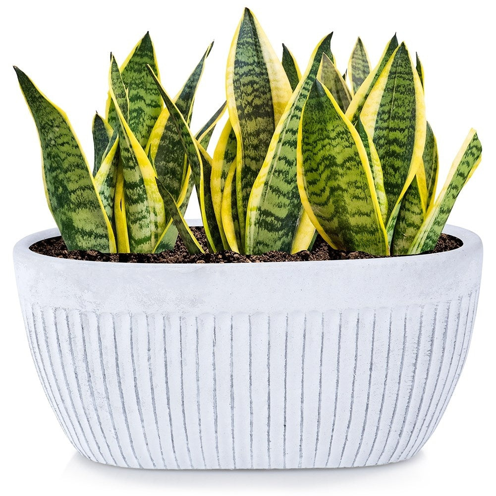 Vintage Flower Pot in White Ceramic with Non-Slip Felt Pads