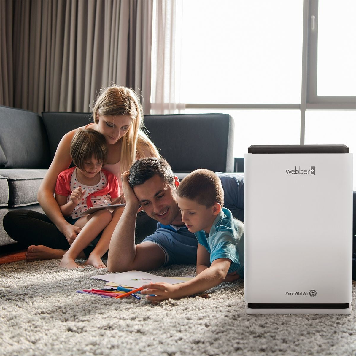 WEBBER AP8650 air purifier