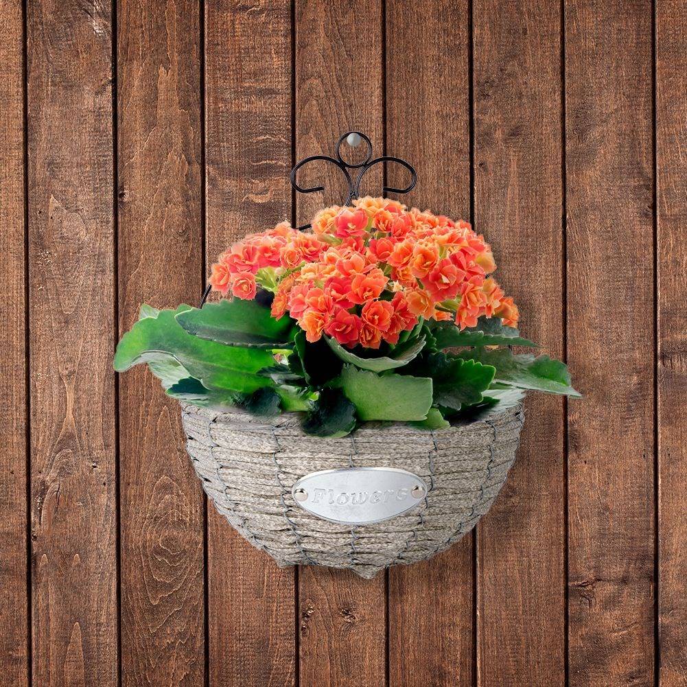 Wall-mounted Hanging Flower Pot in Metal