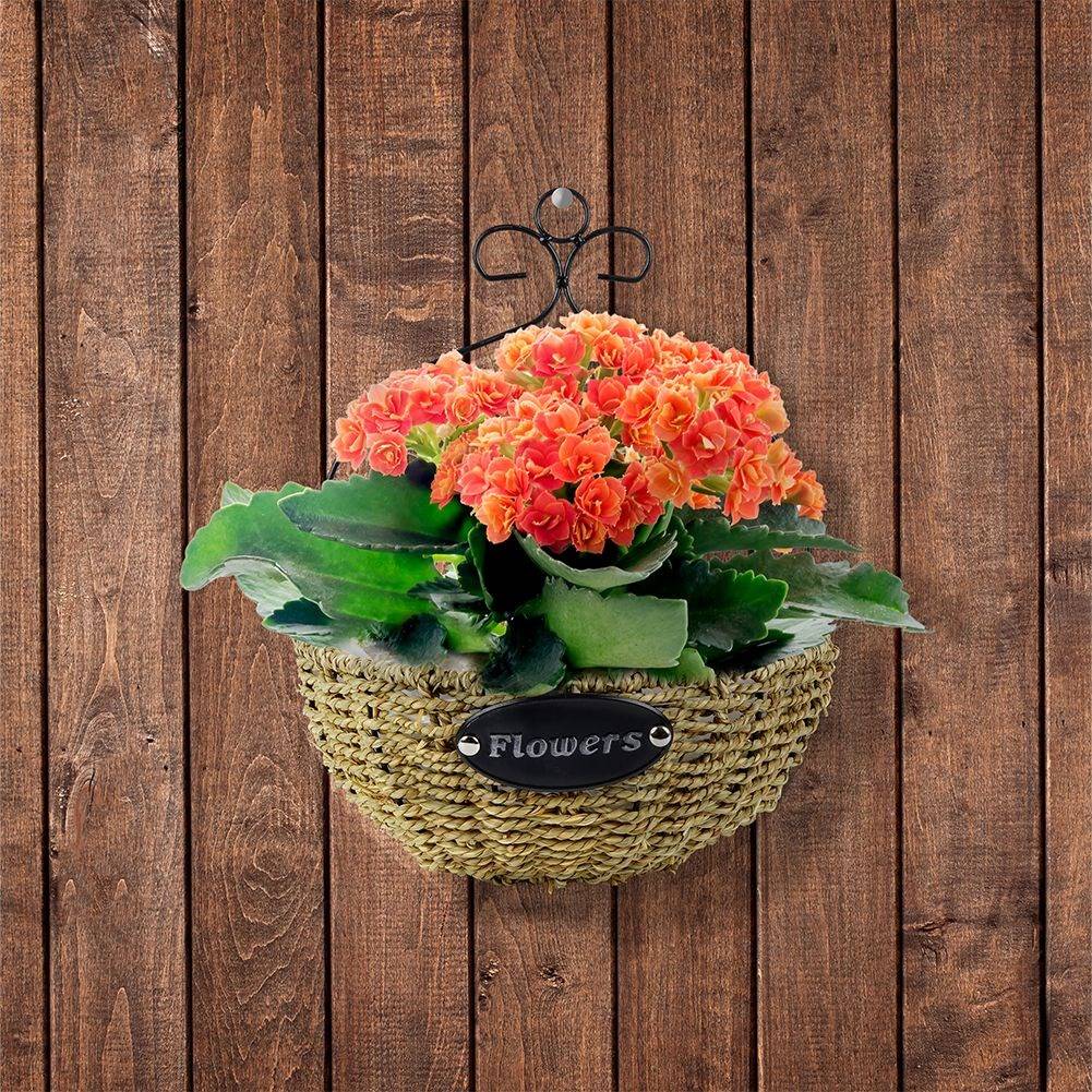 Wall-mounted Hanging Pot in Metal and Water Hyacinth