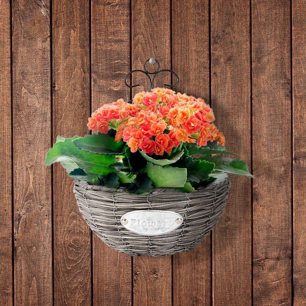 Wall-mounted Metal Flower Stand for Home & Balcony