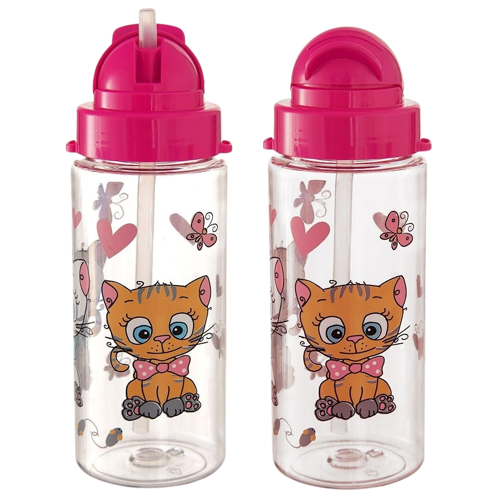 Water bottle with straw, tight-fitting lid and carrying strap