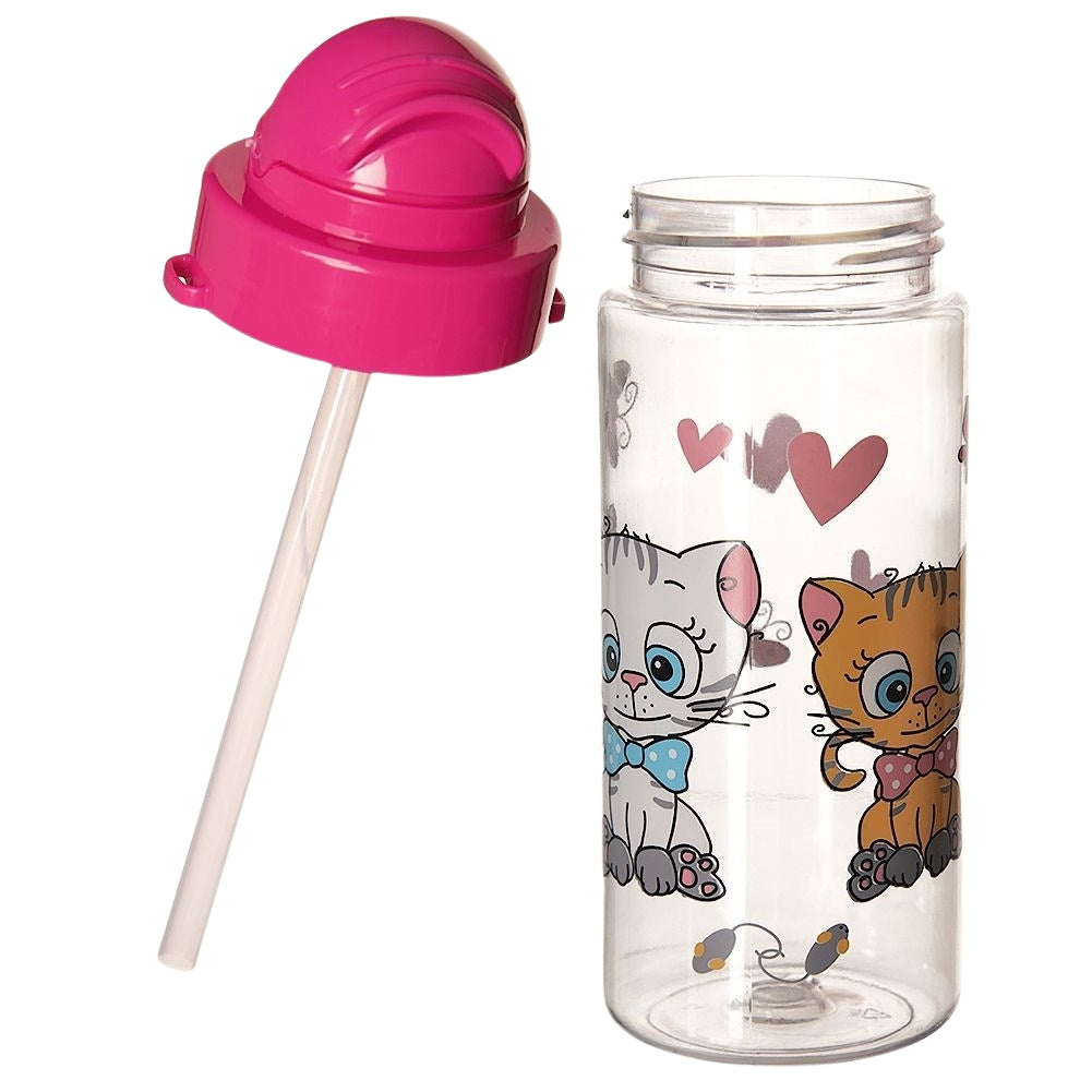 Water bottle with straw, tight-fitting lid and carrying strap