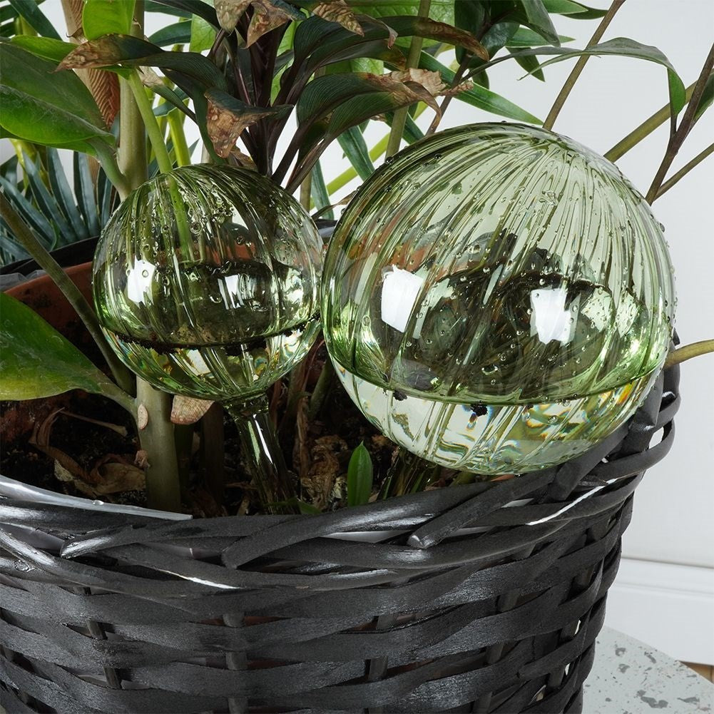Watering balls in green glass - 2 sizes