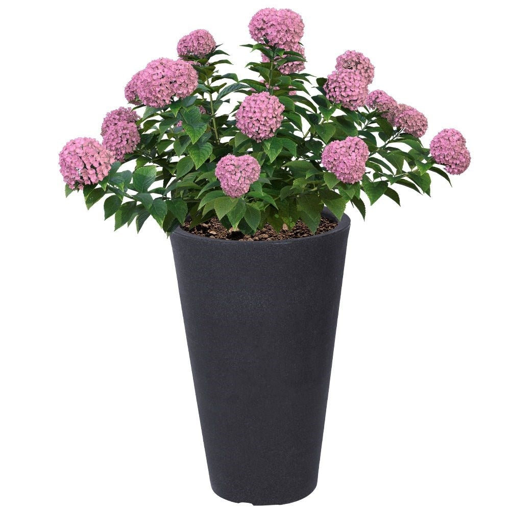 Weatherproof Flowerpot in Anthracite for Garden and Terrace