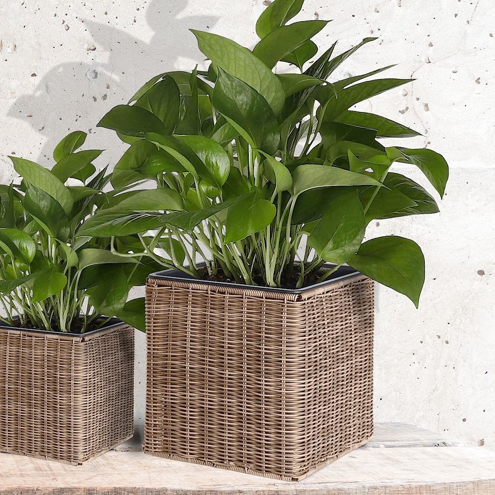 Weather-resistant plastic pot that imitates rattan for the garden